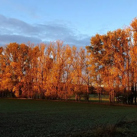 Gaestehaus End بيت ضيافة Bülstringen