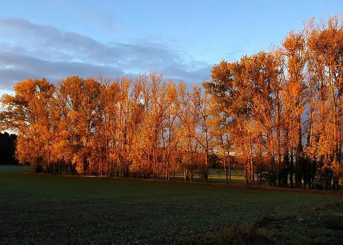 Gaestehaus End Gæstehus Bülstringen